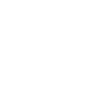 TI India